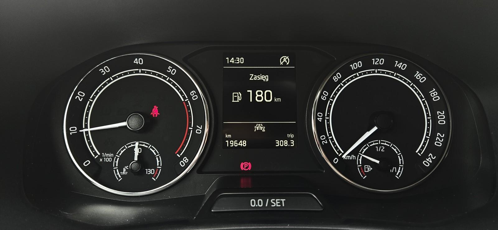 Active 1.0 80KM Salon Polska Bezwypadkowy 12