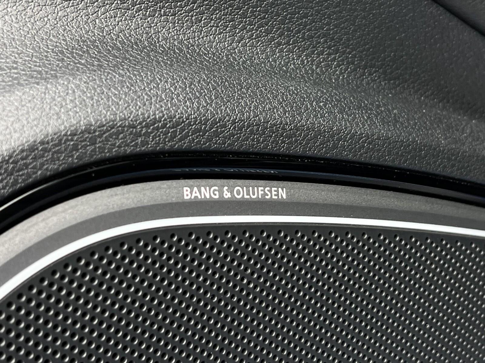 Bang & Olufsen Panoramiczny dach Reflektory LED Salon PL 1 Właściciel 19