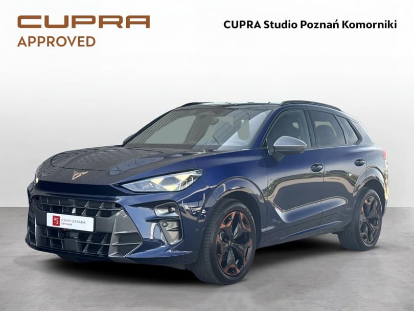 Cupra Terramar 2024