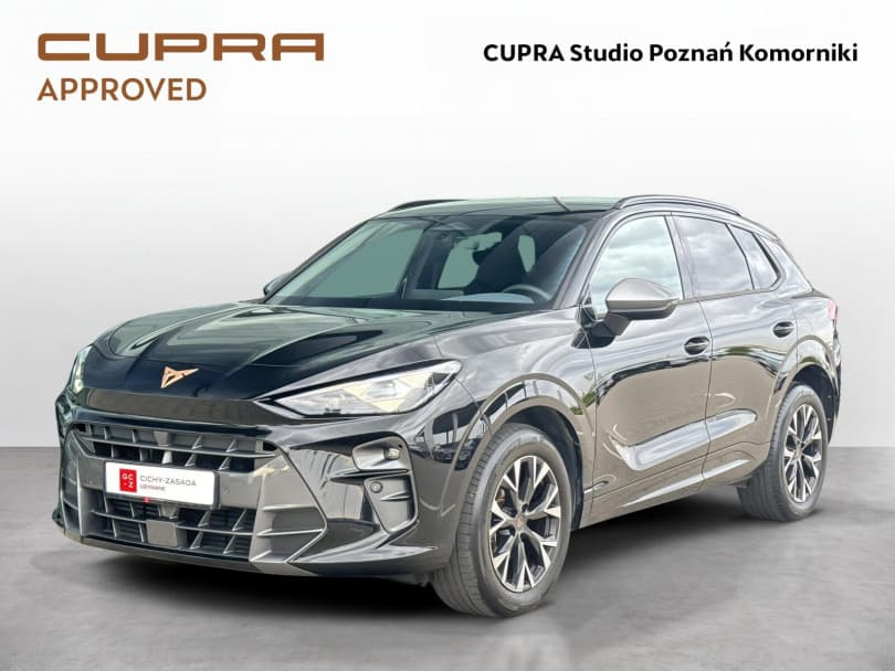 Cupra Terramar 2024